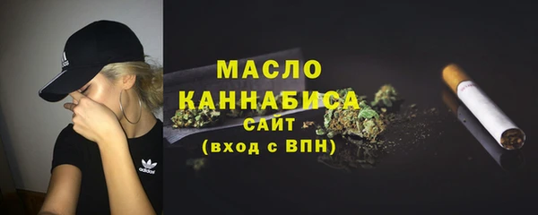 мдпв Богородск